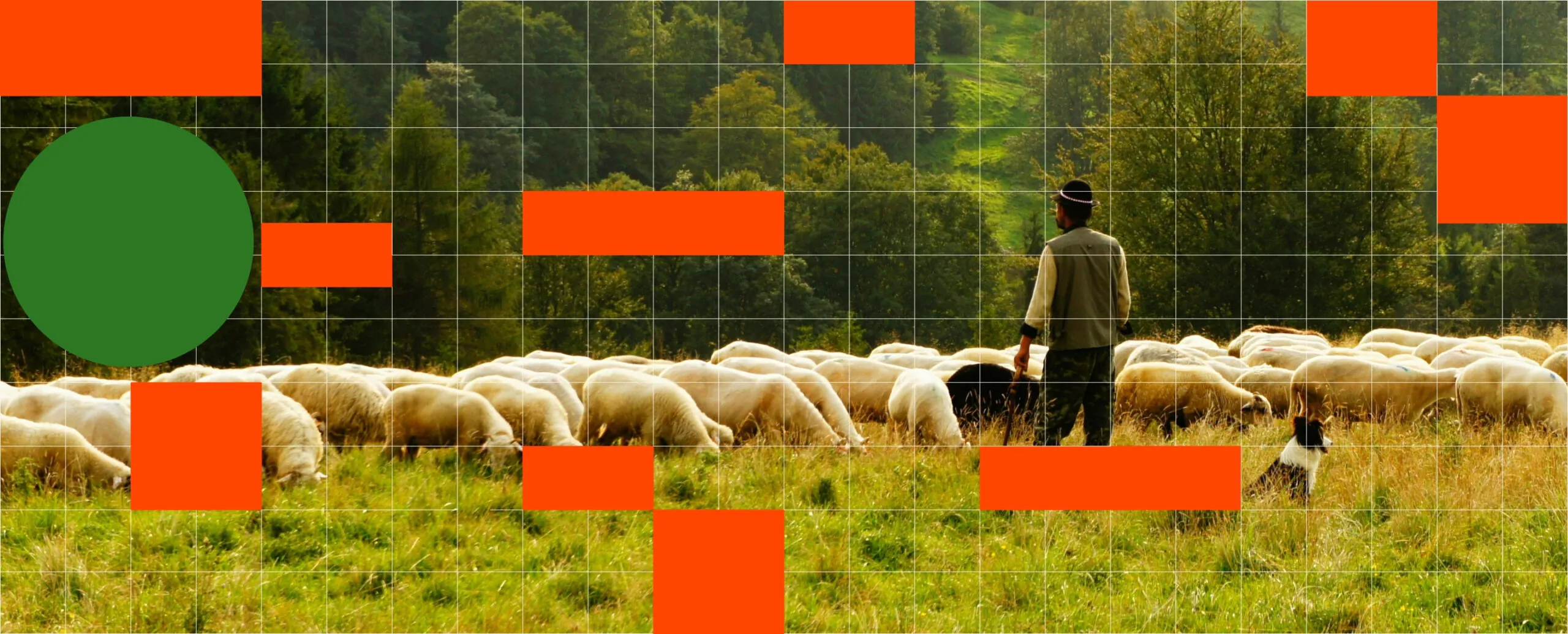 Economic Development