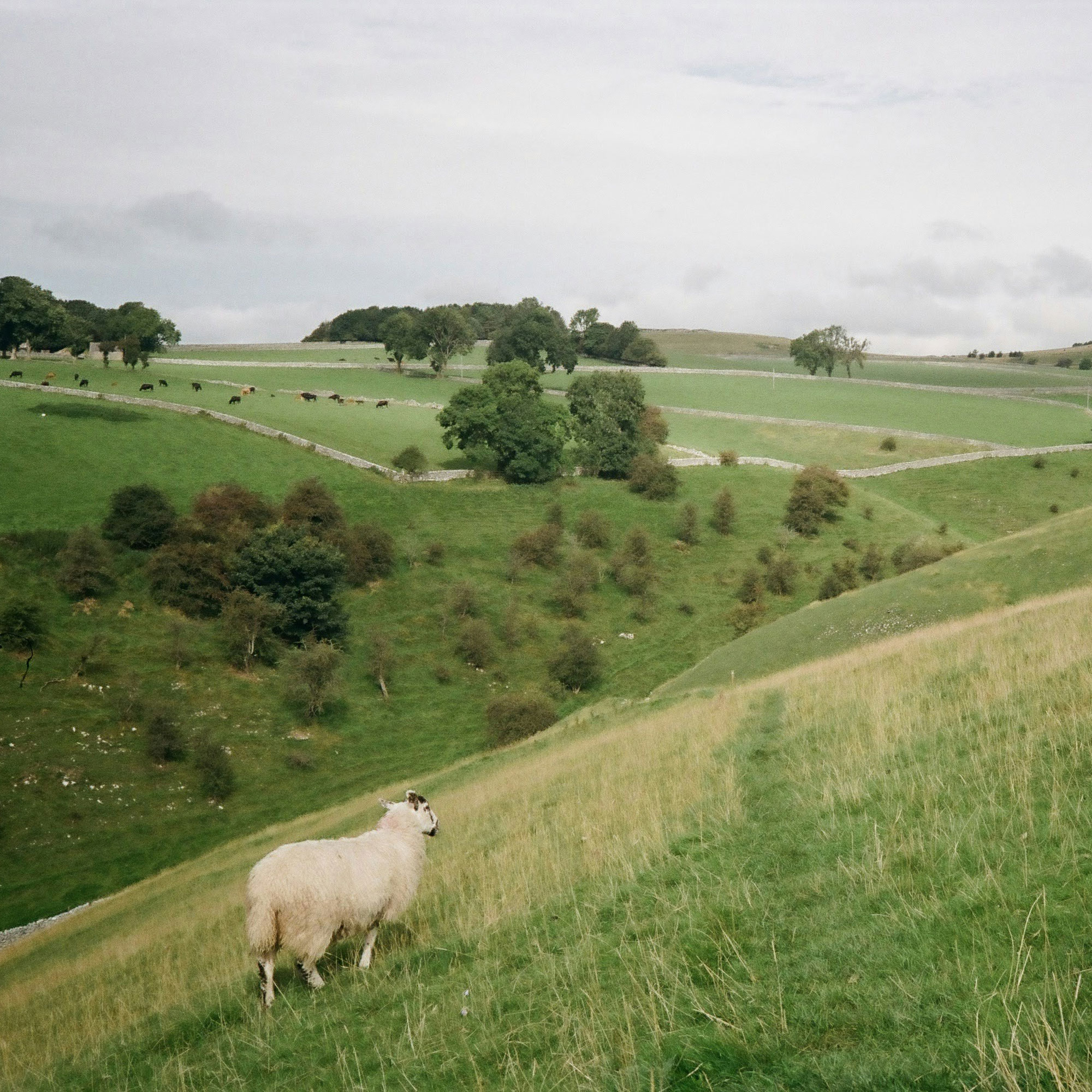 Securing-public-value-from-natural-resources