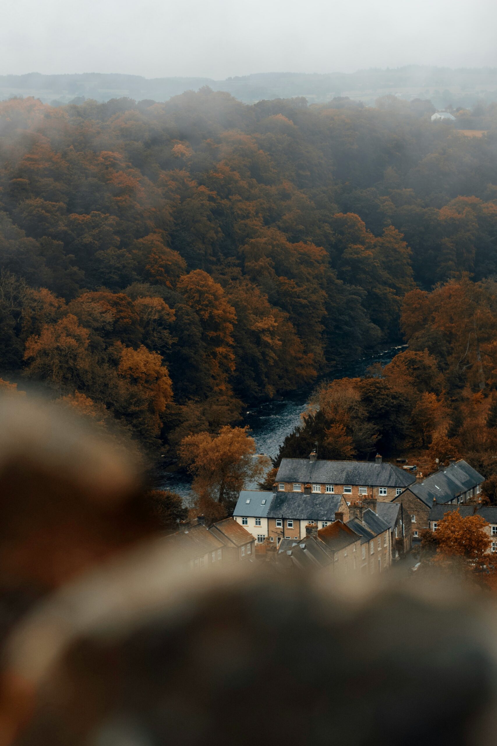 dan-smedley-0ybobFYyANg-unsplash