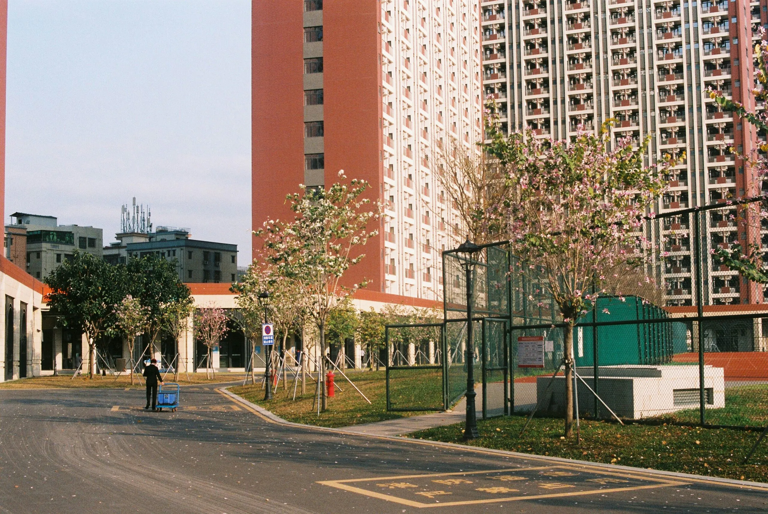 mok-alexander-5aZ0urUdYg0-unsplash